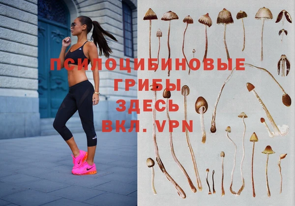 ПСИЛОЦИБИНОВЫЕ ГРИБЫ Дмитров