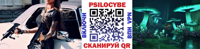 Псилоцибиновые грибы Psilocybine cubensis  Купить  Инта 